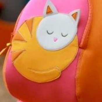Cat Nap