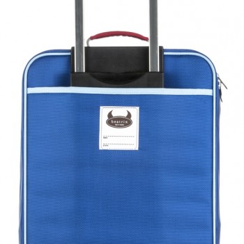 Backside Pixel Suitcase