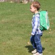 Toddler with Percival Backpack of Beatrix New York