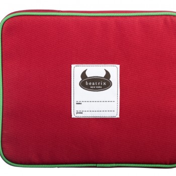 Ju-Ju iPad case - arrire